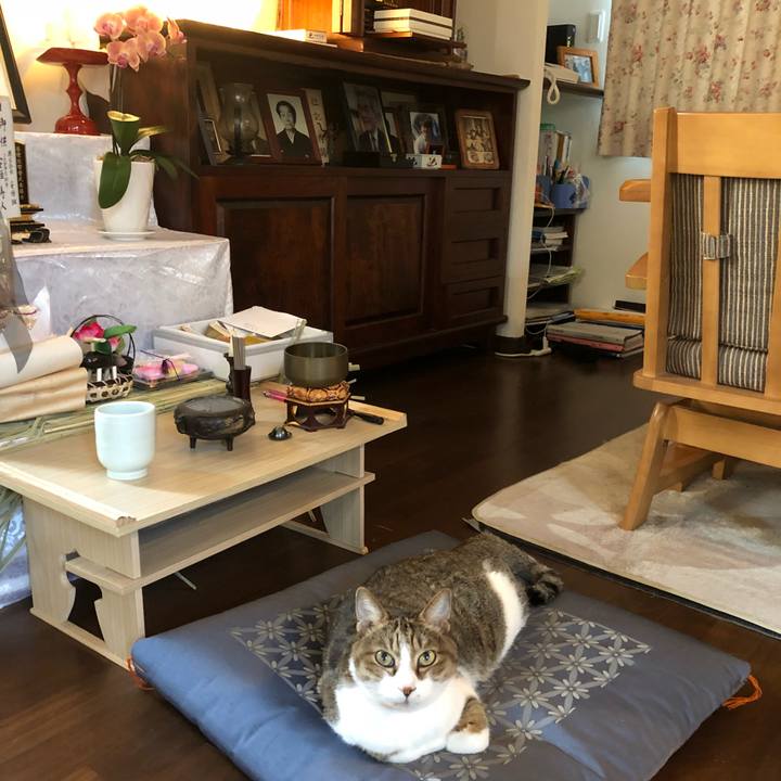 E2a939de 911e 427c a4ef 44d522f923d0 1533954039750