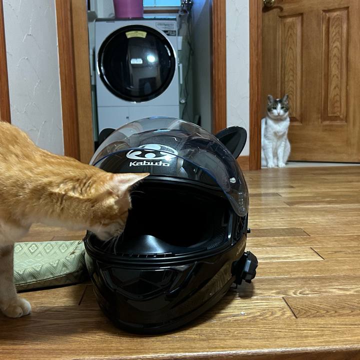 E2a954bd 82d5 42ef 824c 20357f336544 1687550474149