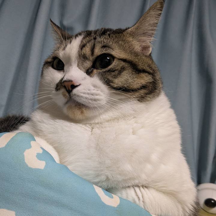 E2a97089 1edc 482f bebe d97bbcd0b628 1763216504420