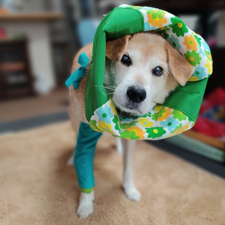 E2a9736b 65c7 4e80 868d 7e4b2b896190 1673250259115