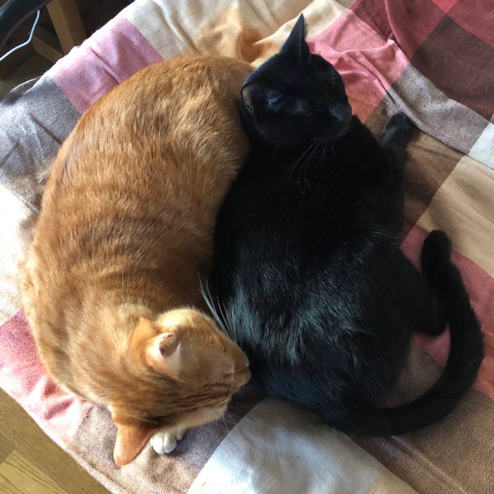 E2a99687 5178 46f5 9019 b21ff4f4af29 1668550361120