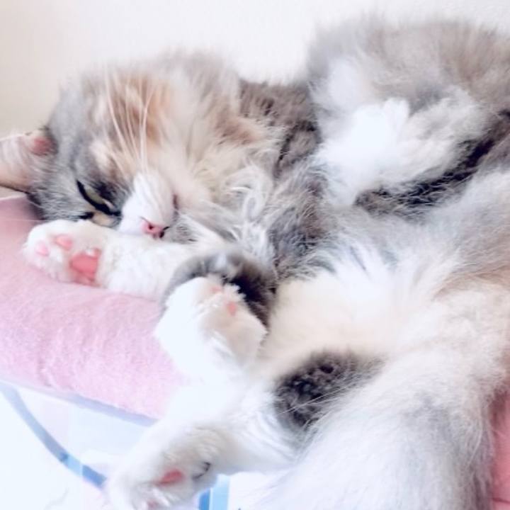 E2a9c2be 1891 411d ac6f dd524e86a2a5 1702522431514