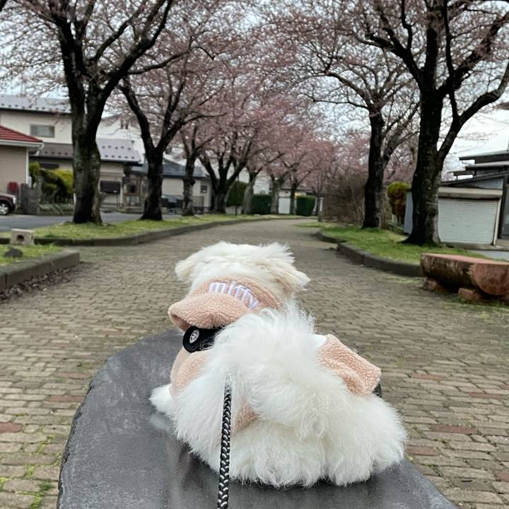 E2a9d911 b630 403c b86e 31d5bf88fc99 1680836634494