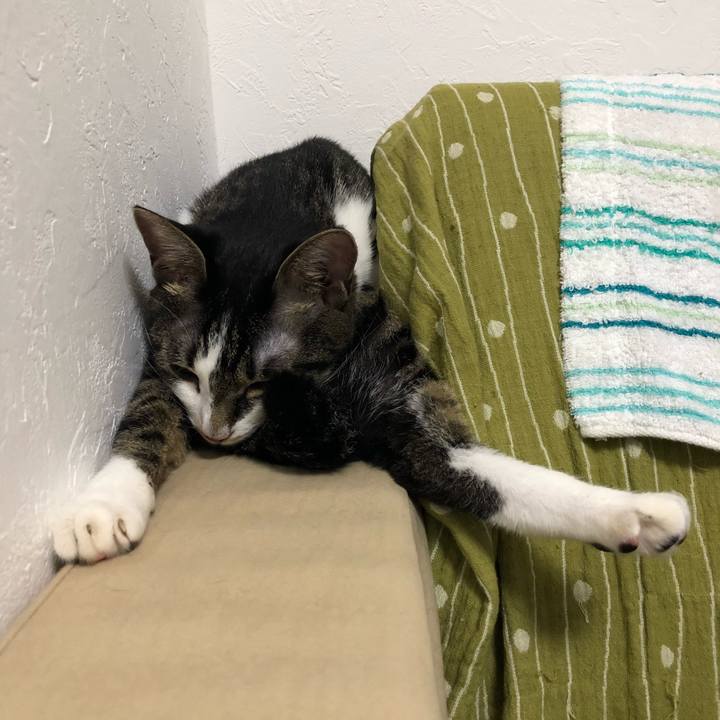 E2a9ef71 509c 4677 986a 95762df48a1f 1535801347518