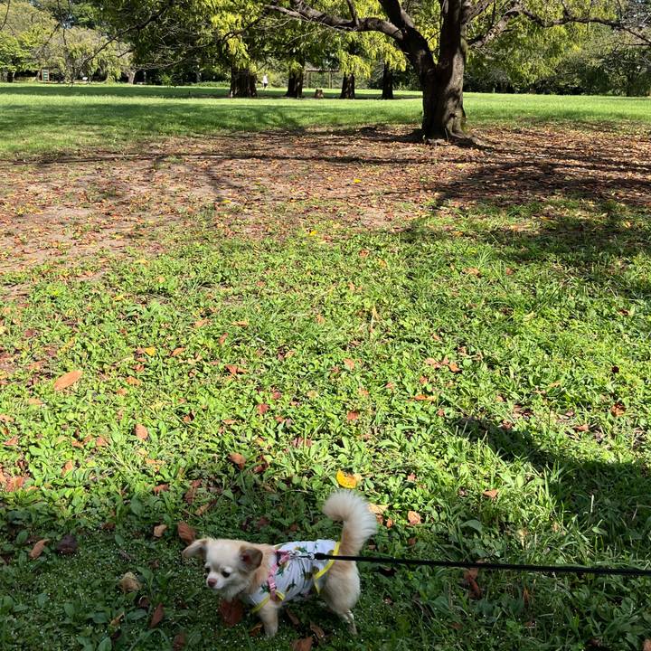 E2aa10c5 f57e 4606 8bf2 43e0d7ba7caa 1726396805536