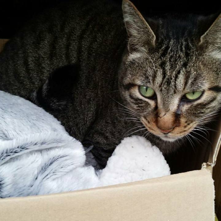 E2aa111b 0654 4bb7 be23 9fa89a3a56bd 1517929040219