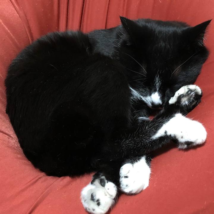 E2aa2fea e0c1 41fa b701 ea64890c37df 1643686553138