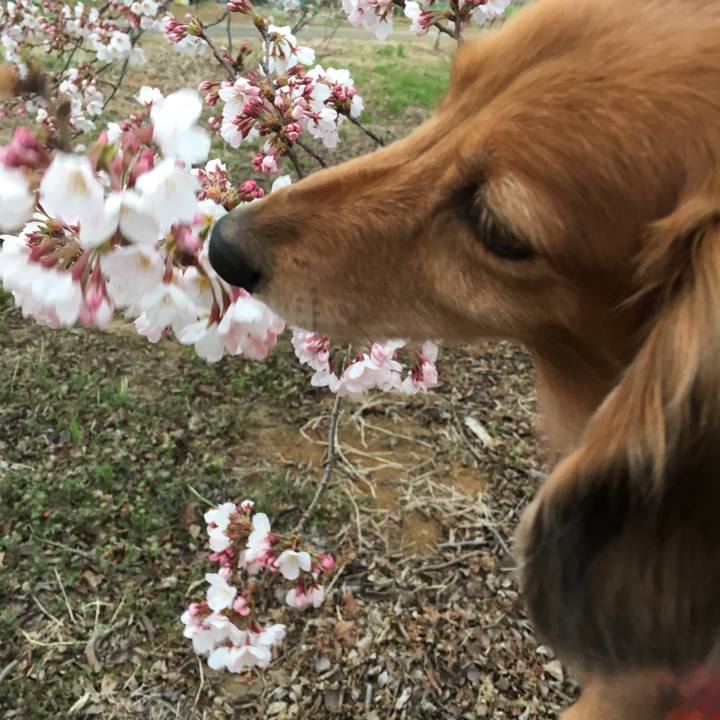 E2aa38e0 8cda 4ebd 9d12 142cfc976ec3 1553940022891