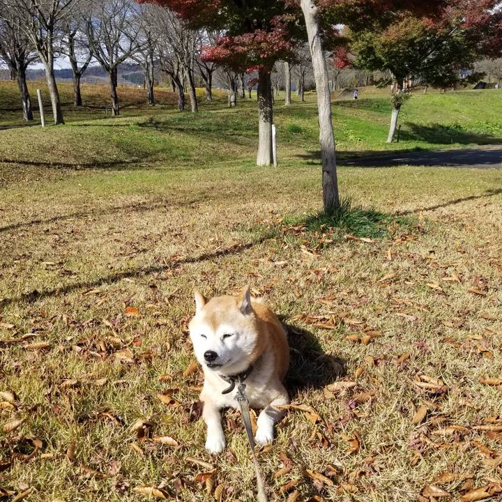 E2aaa7de 316b 4808 8d4f 74d2773b2165 1699933165176