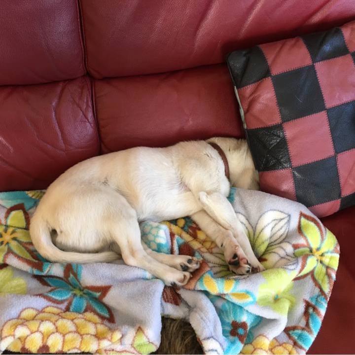 E2aab02c eb1f 476f 80f5 e4514bf89437 1769680506237