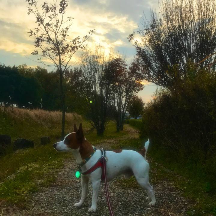 E2aaf80f 87c4 4a99 bdfa 2909f58b7daf 1511956246903