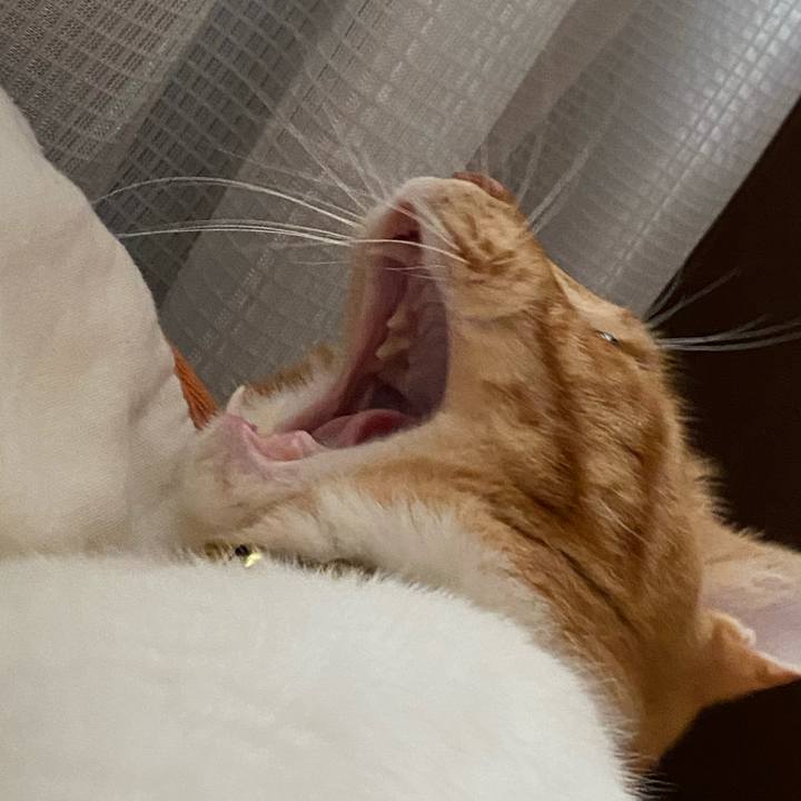 E2ab17b2 3e14 45bd bc8a 50be67c39c65 1591442808164