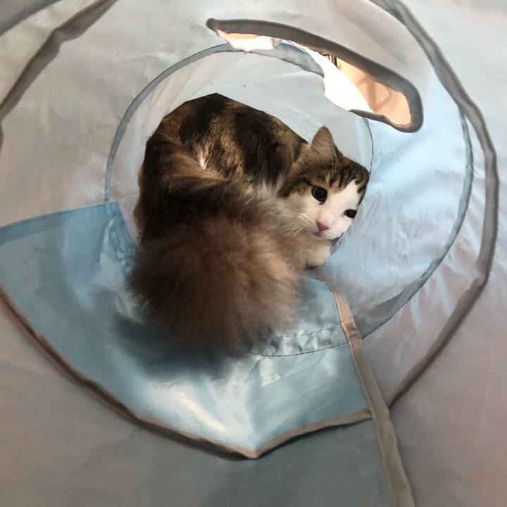 E2ab528f 401f 4c0a 9ef6 a742e51e40cb 1534224525369