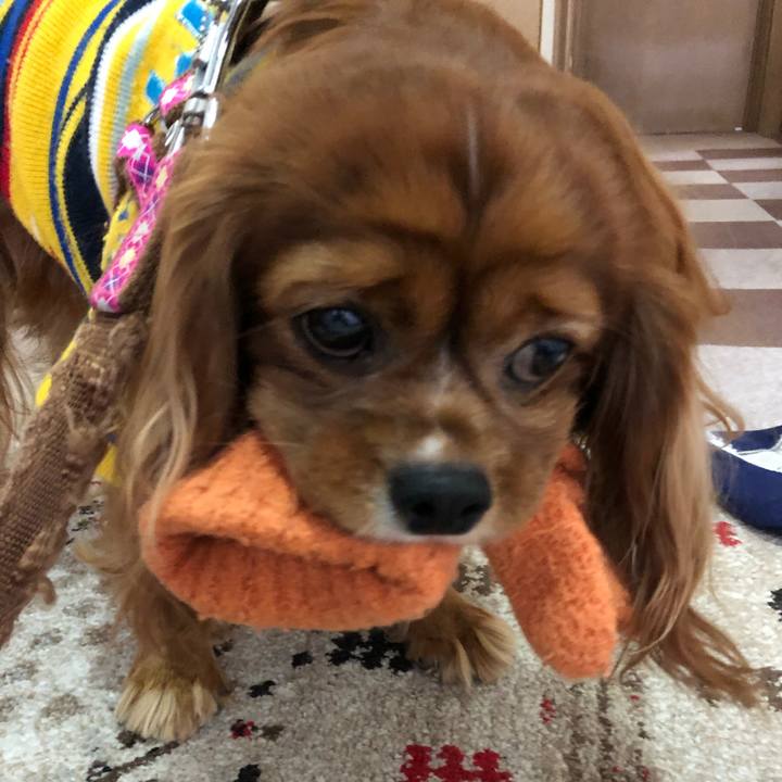 E2ab57ef 0a90 497a a99d a3994eba4bfa 1641166781400