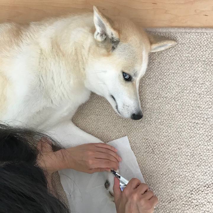 E2ac1aae 67fa 405e ba5b f569d1615681 1535963199721