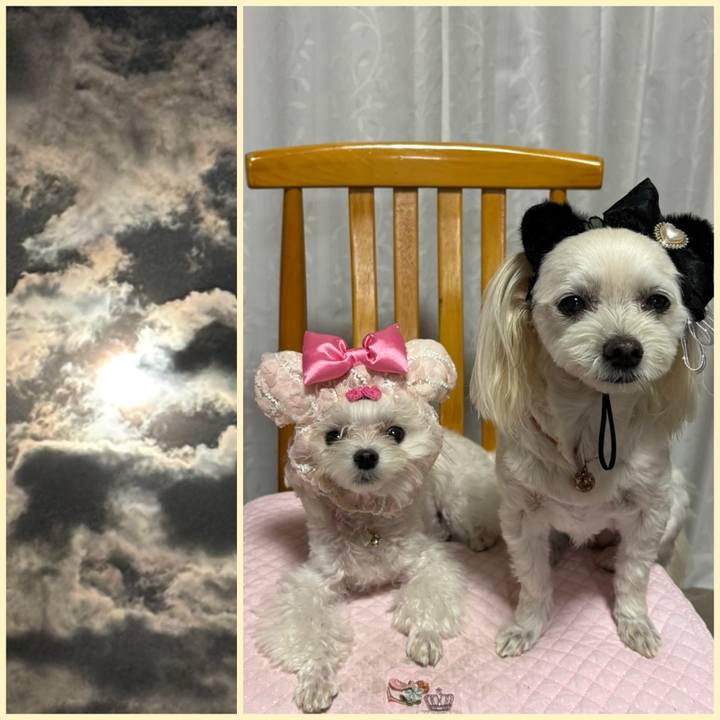 E2ac1b40 0c7e 41b5 a203 04ea03607c39 1759744793834