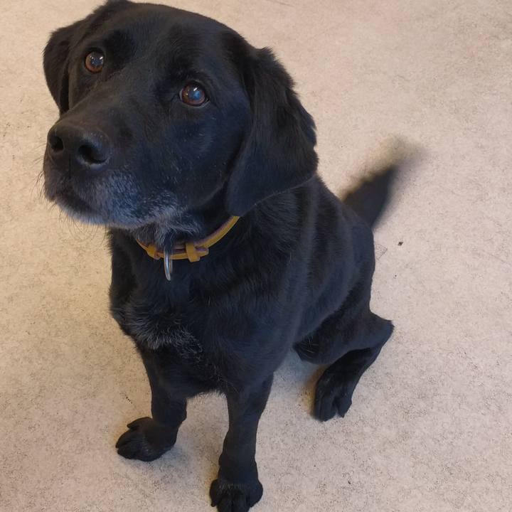 E2ac3f7a ba02 4a86 9849 a5f515bc775d 1516349071954