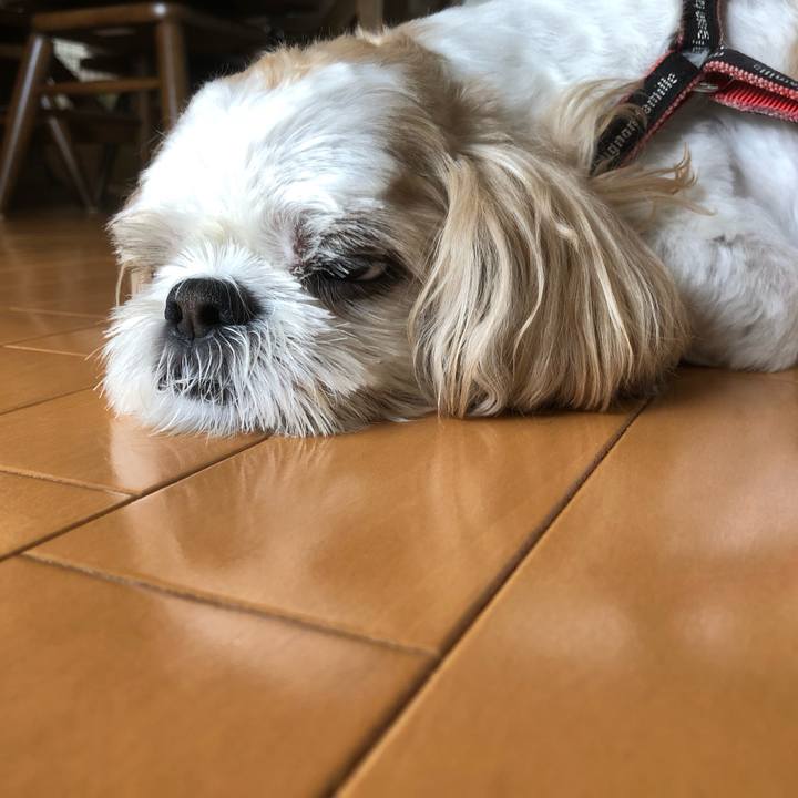 E2ac76af 1dec 47e5 b536 6094fdc84395 1631590264034