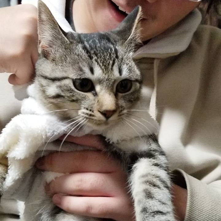 E2ac818a 5db4 460a 85c6 74762d8253da 1671920476278