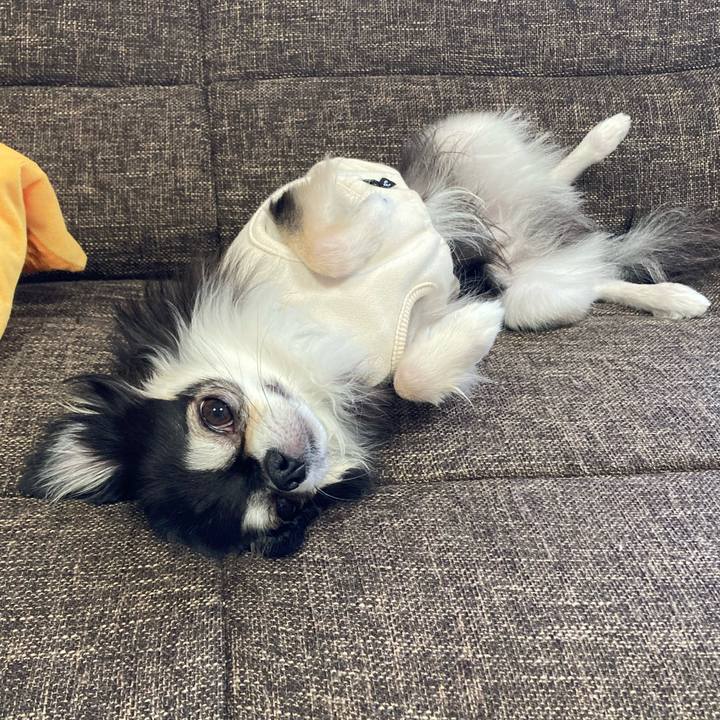 E2aca8b3 b523 40f9 90f7 4f8c623c9ad9 1702093725672