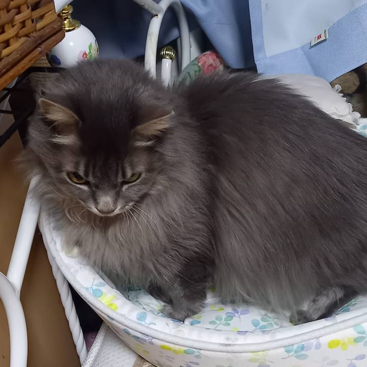 E2acab22 e13c 4a2a a698 b489bdb3222a 1676150439316