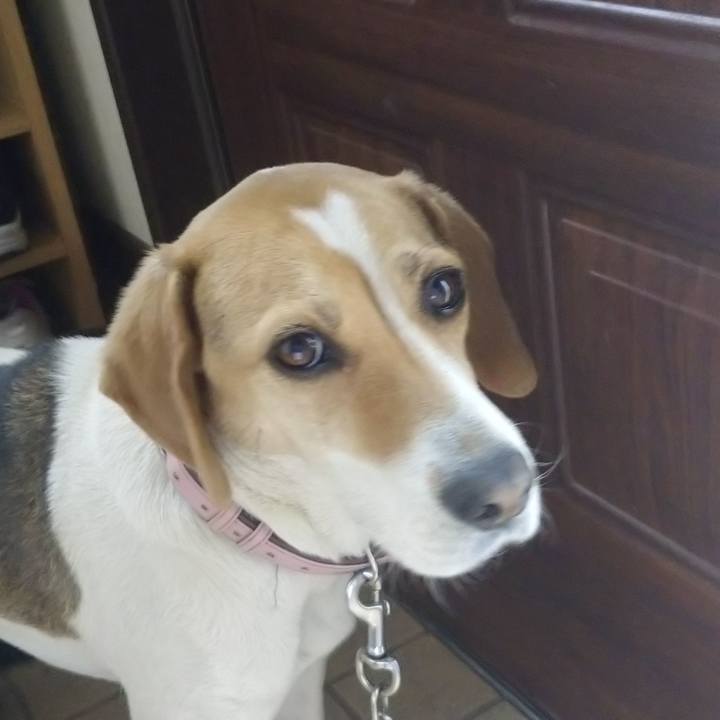 E2acad48 2d46 4fb9 a4ac 5b18c27aac3d 1589431055902