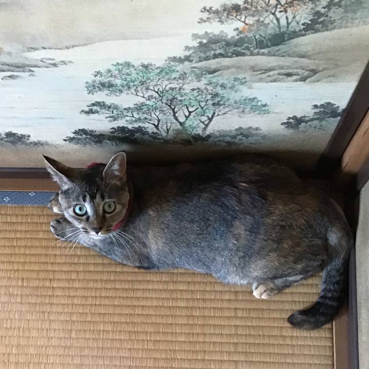 E2ad014e 79c5 45e6 8a19 378dca8a47a3 1598677290081