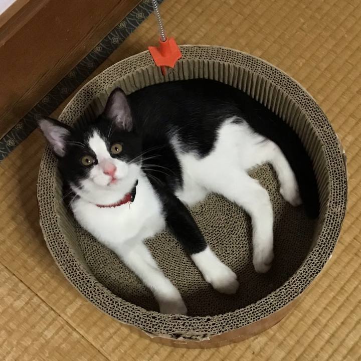 E2ad0d46 3d64 4c37 a067 1cb60bc5813a 1627969340675