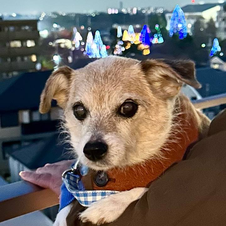 E2ad3355 d13b 49c2 b902 f26bfd4b0cbc 1702717505409