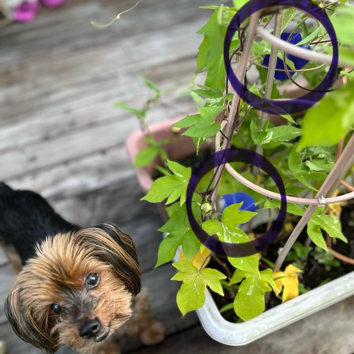 E2ad4f72 50e9 476b 86fd 1c93a2fc2e00 1721631487158