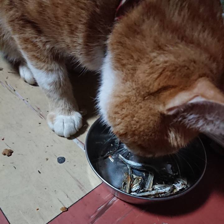 E2ad5898 7612 4764 90b7 e6684bd25501 1566850607092