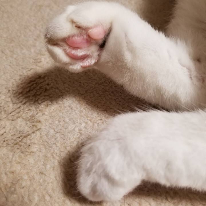 E2ad75be adda 466e abc7 da008ecd450e 1606393584485