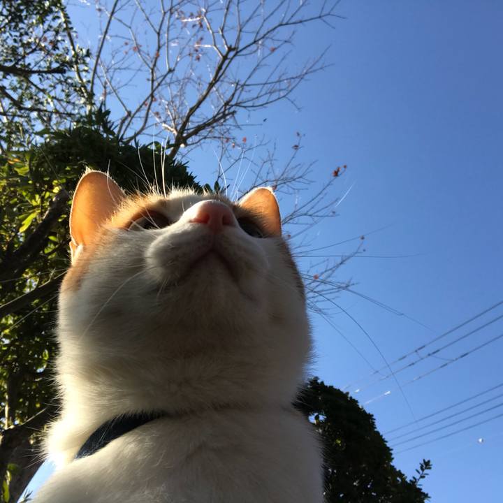 E2ad80b7 ae7c 4b58 ac4d b05d01e1e1ee 1511309399218