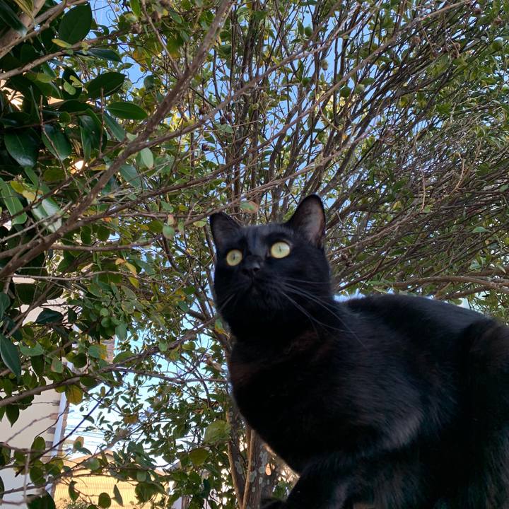 E2adf71e b13a 4ff2 8e42 9d8cbe384c80 1574864512467