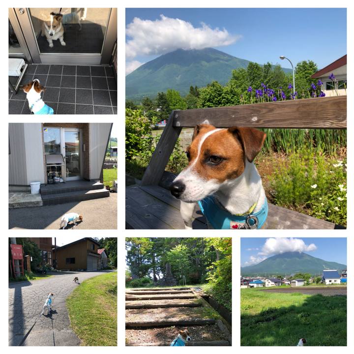 E2af2d70 80e4 4db6 886a 1b09219357c3 1527903845521