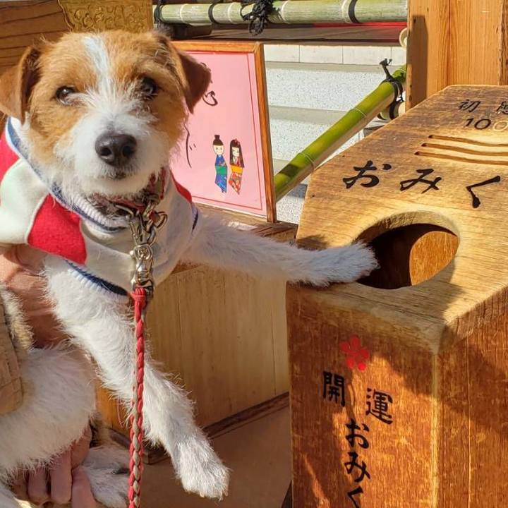 E2af38a9 b3eb 43db 8c2d 1d7ea668ee2c 1550294642311