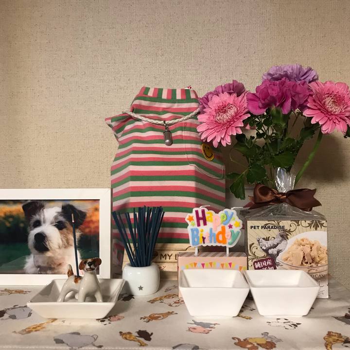 E2af4a8f 5df5 4363 88a7 9bbea3fddf0a 1557132791360