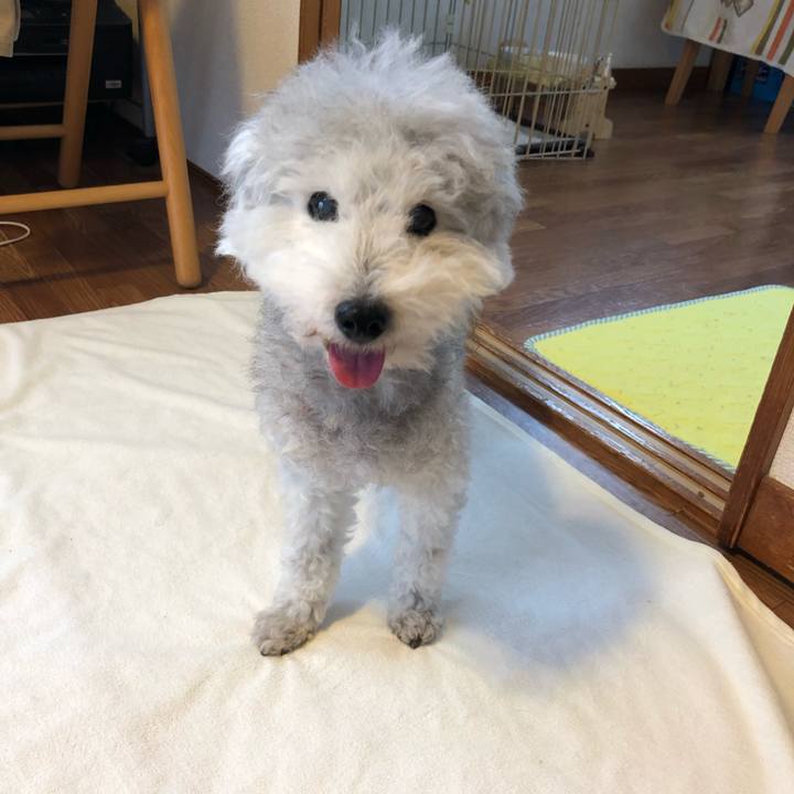 E2af6427 e0ba 436b b5be c9780d143a75 1625530964721