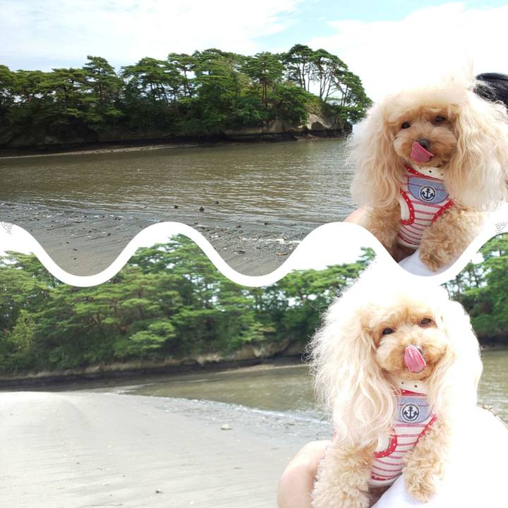 E2afb172 472d 4412 91d1 99798633ae28 1567335554006