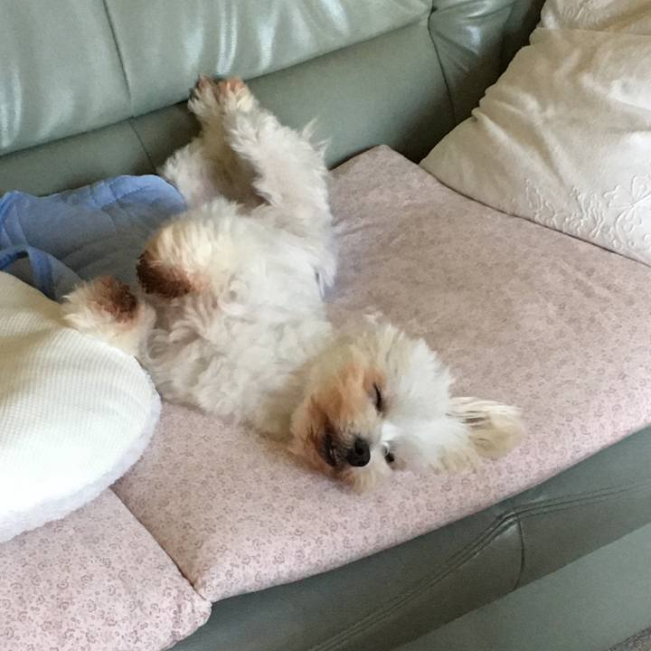 E2afbc4f c361 49b9 aafd 9cf5b91cfe79 1626495443409