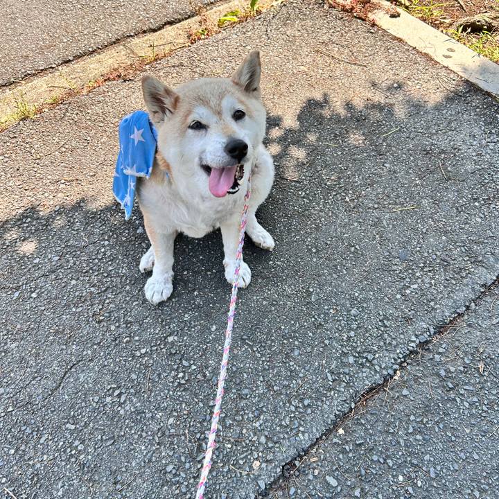 E2afca27 e7cc 4a74 9fe1 7207d1d3177c 1750123850715