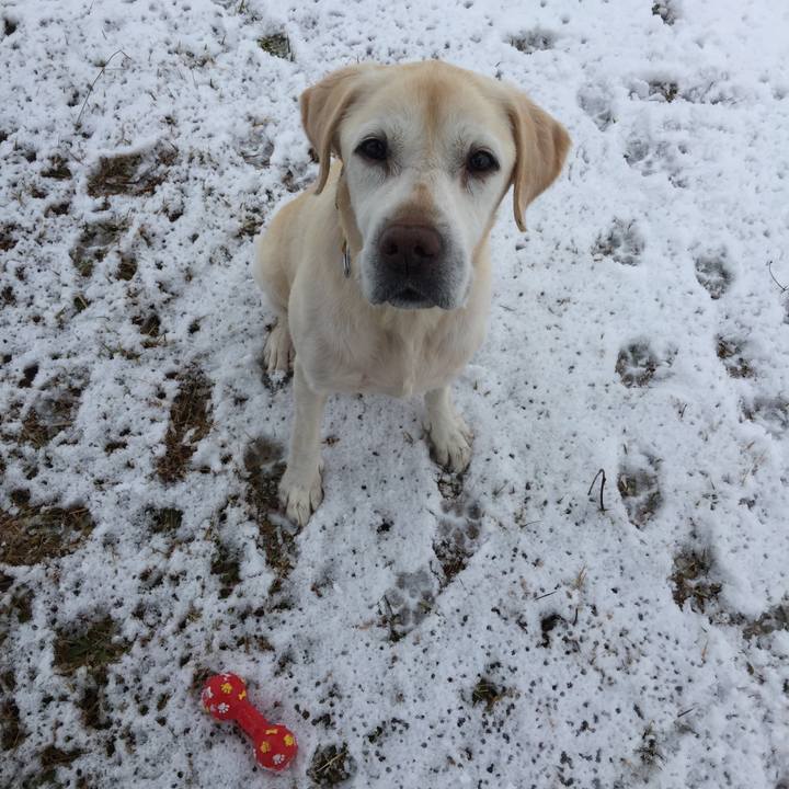 E2b029a9 321f 4c85 9010 47321a5fb9fd 1513734060167