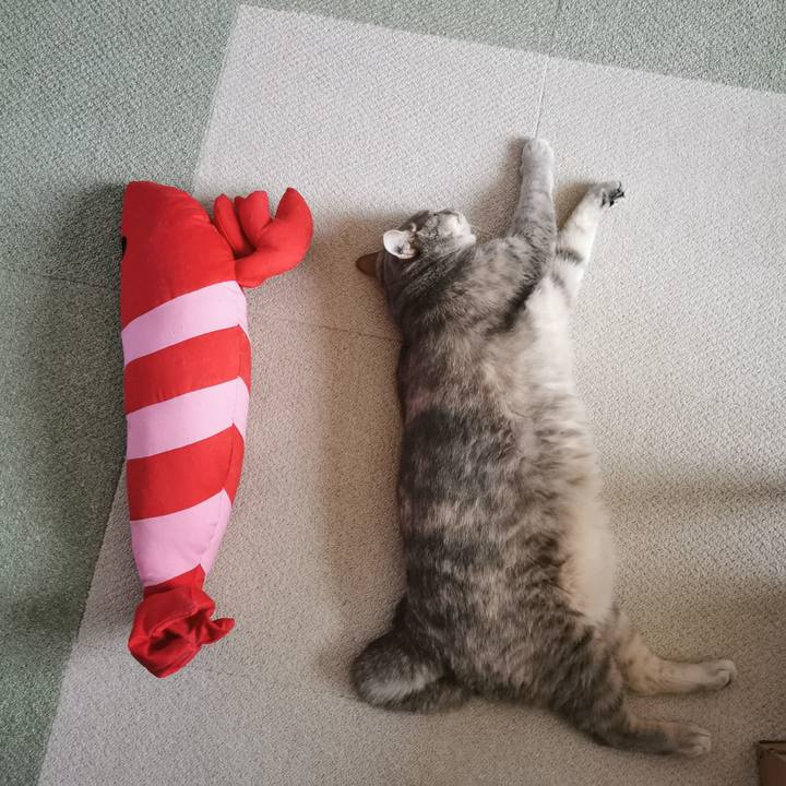 E2b04270 b951 4e05 b1de 0d380c70ce63 1659670645353