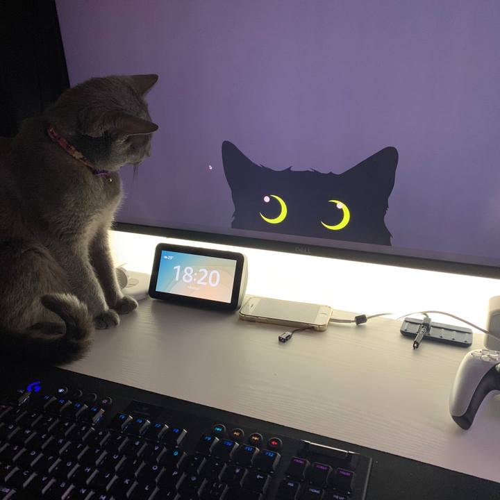 E2b04a9d 3914 42ff abef b09bc77d36ab 1656902373798