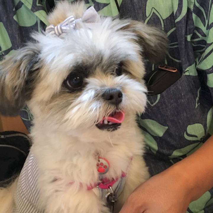 E2b0659a e0b0 43a1 85ac 042e411f7755 1532931059431