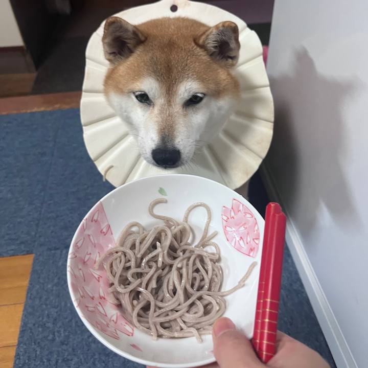 E2b075b9 e79f 461f 8be7 8020b7a8647e 1704017233666