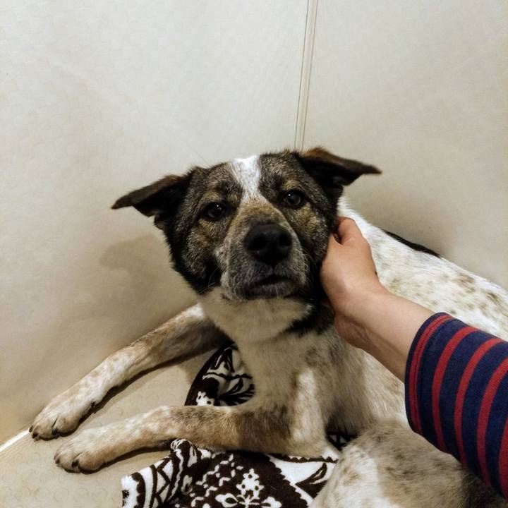 E2b08463 f26d 478f 9c64 fd7ed4083084 1556520563489