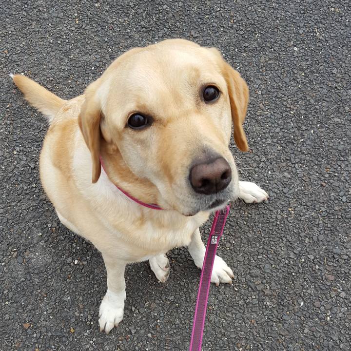 E2b09e01 b2d2 4728 95fb 76b3ba333228 1511315142887