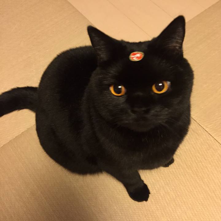 E2b0b9ca 39cb 4036 a6e9 1222cf44aa67 1522671830980