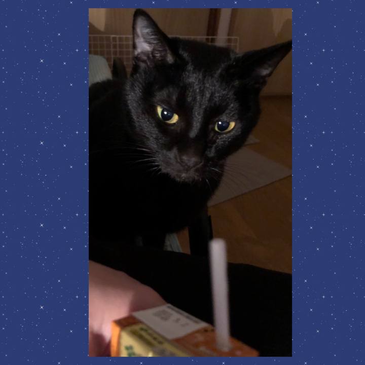 E2b0bdad 24fc 4598 a1df cc4deaf1da62 1666187483774